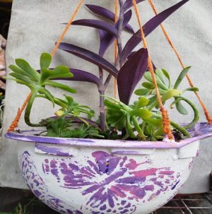 WhatsApp Image 2025-06-10 at 12.50.26 PM (3) cactus en macetero reutilizable